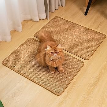 cat scratcher
