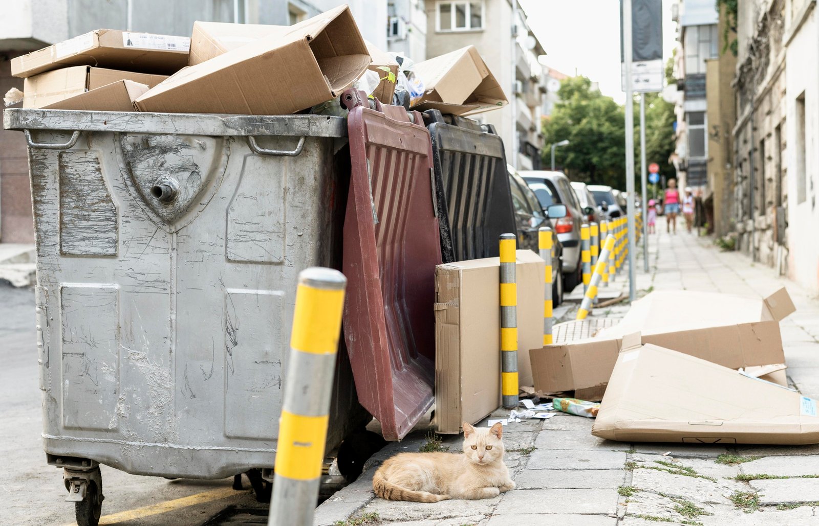 Revolutionizing Pet Waste Management with GoGo Stik