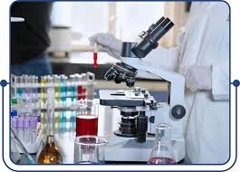 Medical Billing Services
