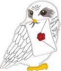 Appliqué embroidery digitizing