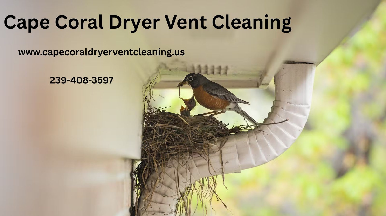 Cape Coral Dryer Vent Cleaning P