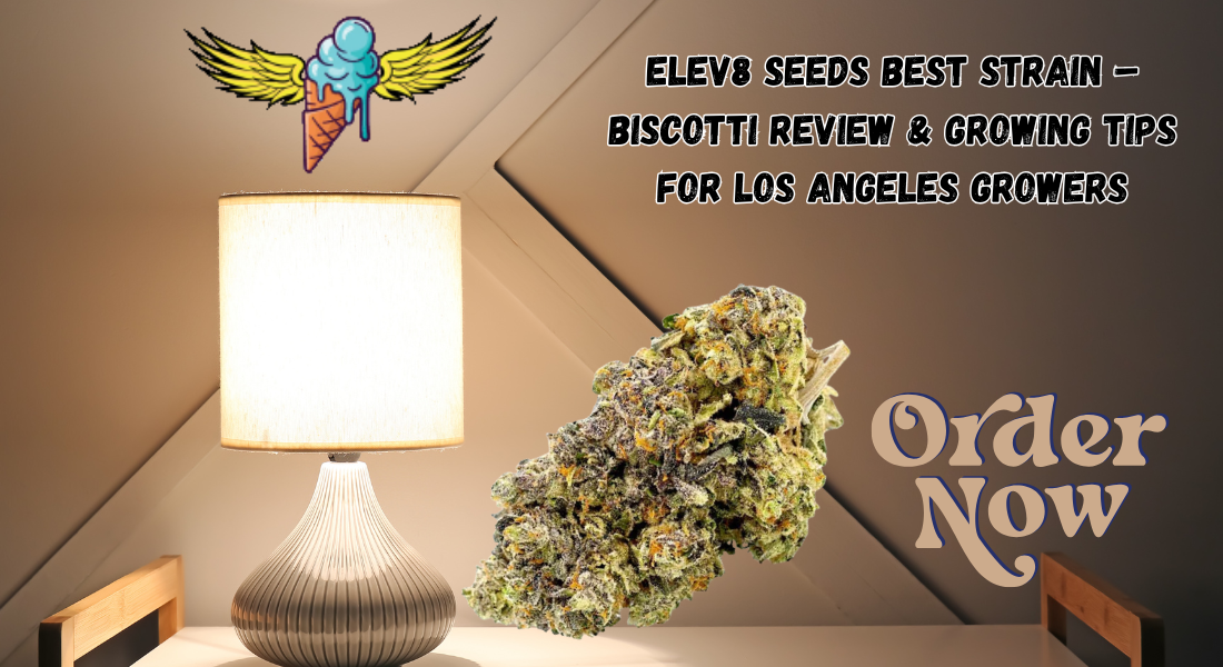 elev8 seeds best strain