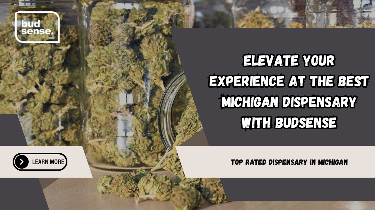 best michigan dispensary