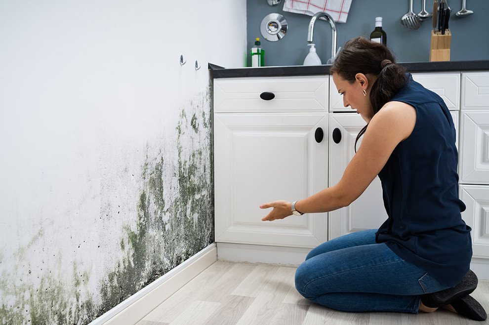 Housing disrepair claims UK