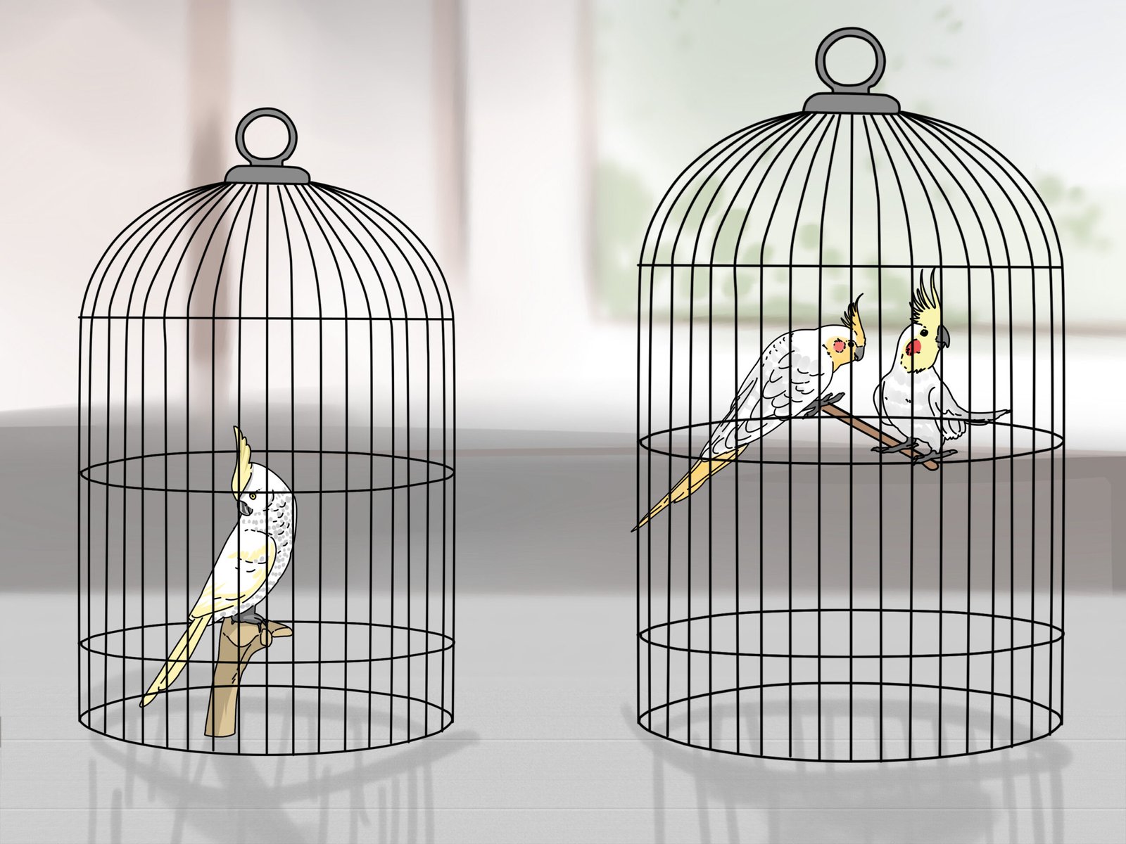 Pets And Bird Removing