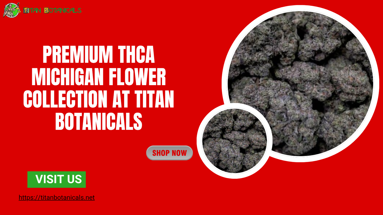 THCA Michigan