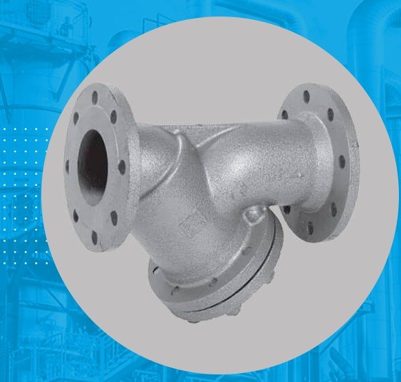 Y Strainers