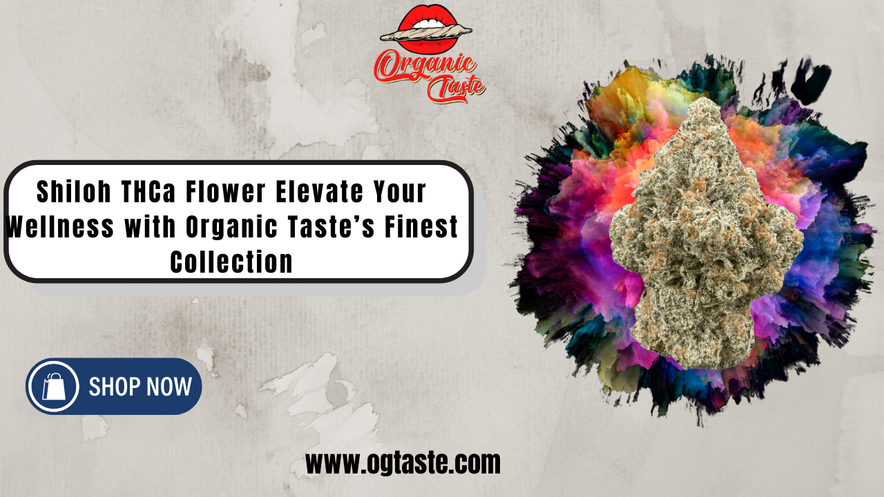 Shiloh THCa Flower