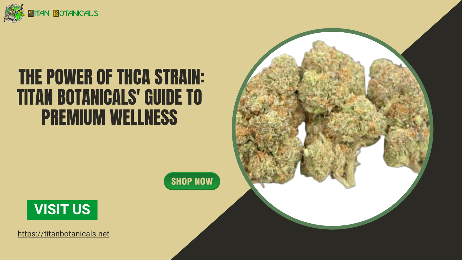 thca strain