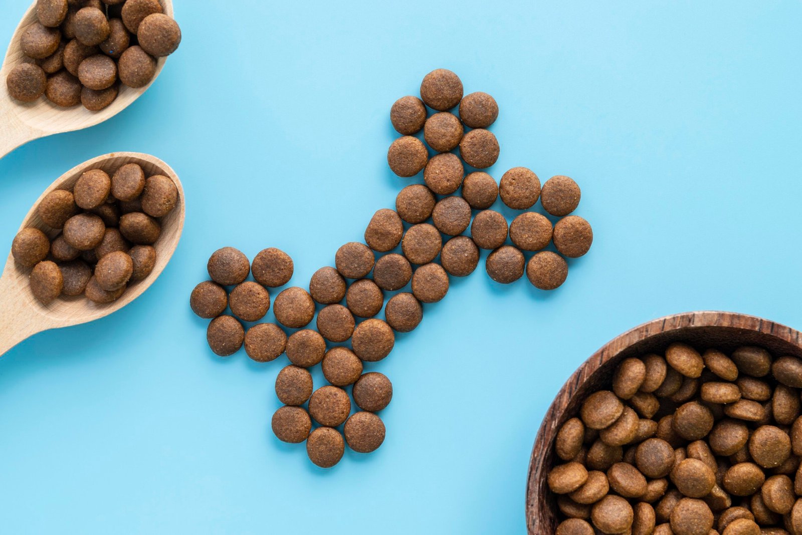 buy grain free dog food