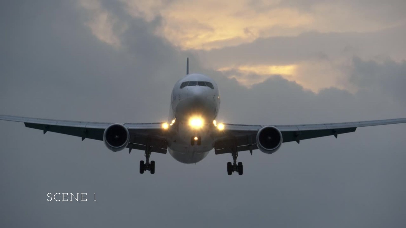 Complete Guide to Inflight Catering Services for Airlines