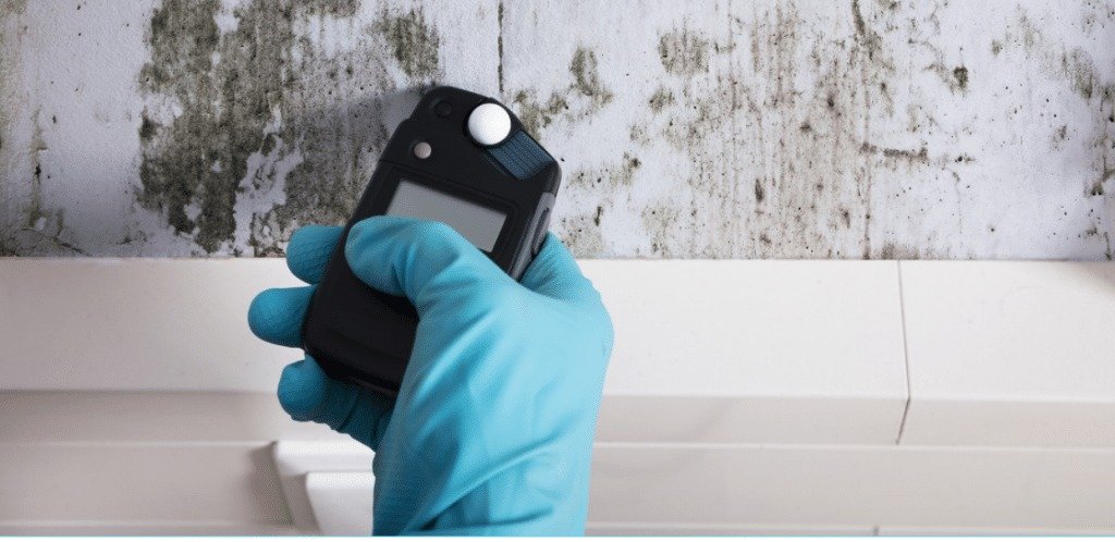 Mold Inspection