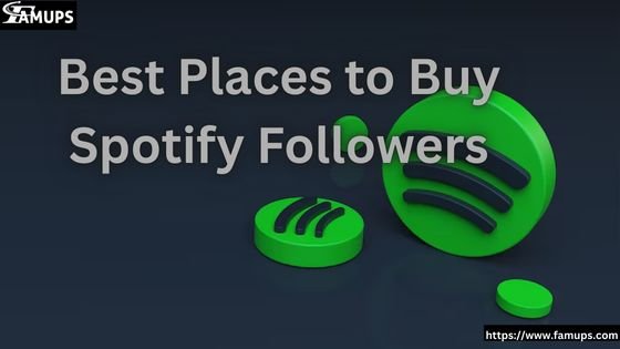 Best Places to Buy Spotify Followers