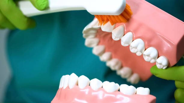 Regular Dental Cleanings