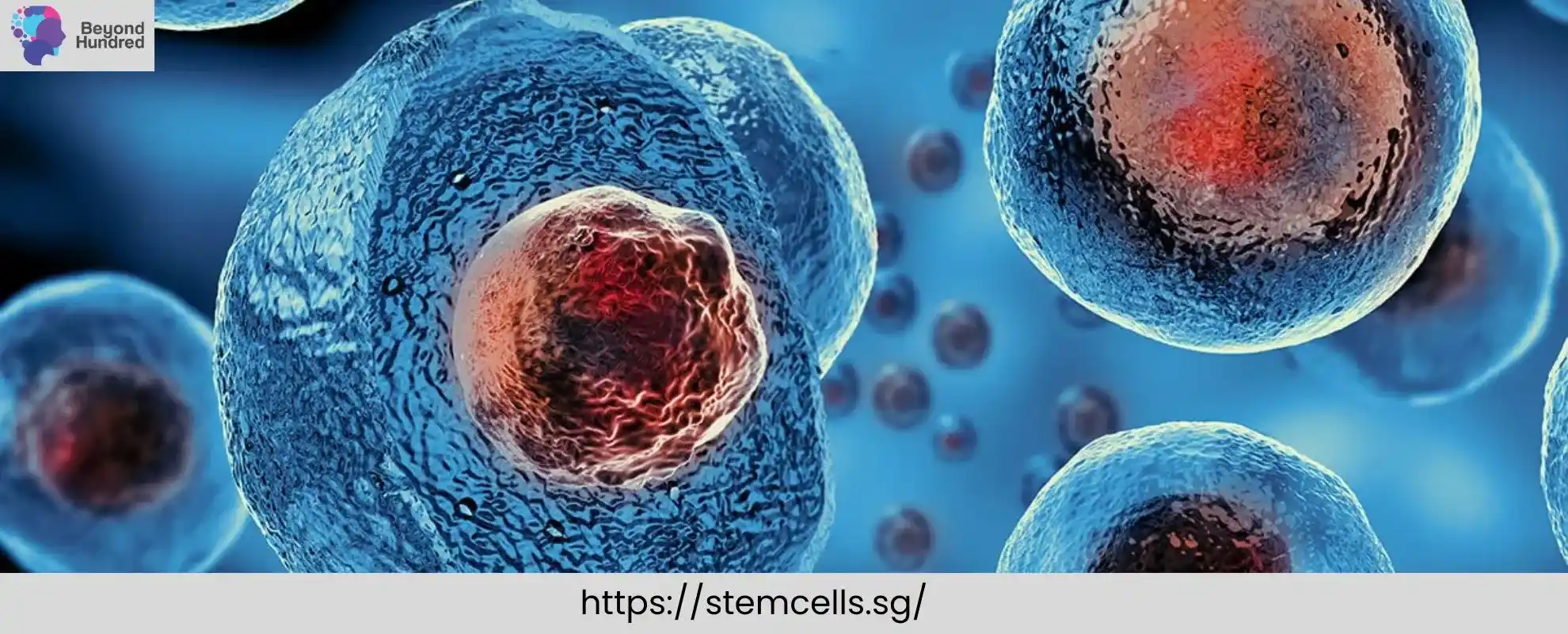 Stem cells therapy Singapore_11zon