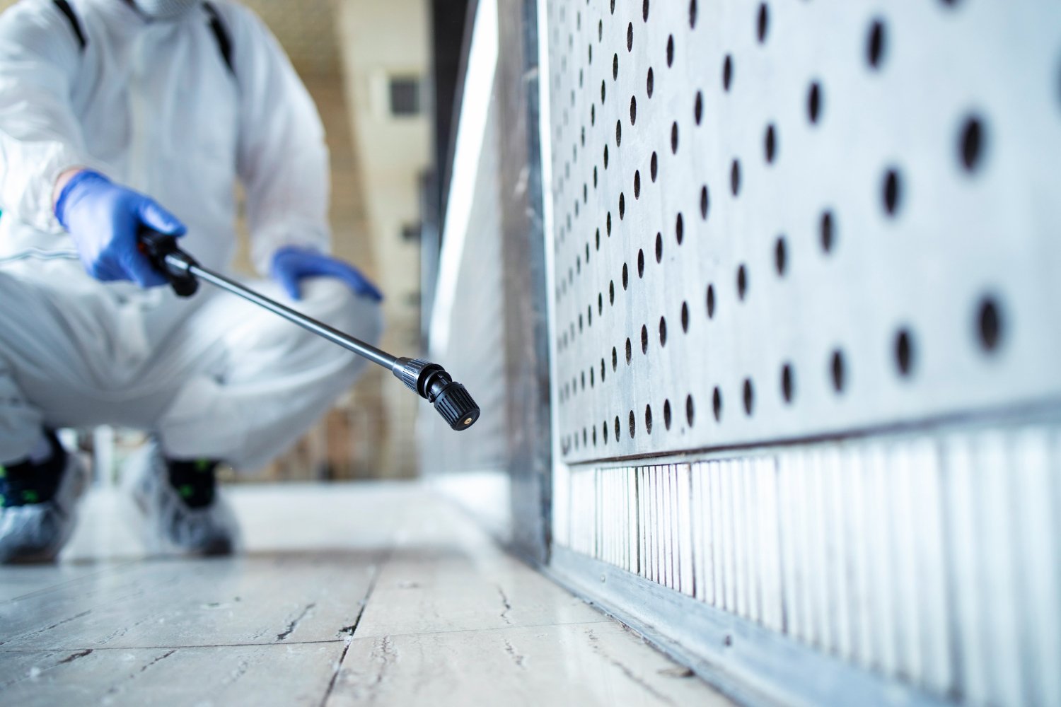 Man doing mold testing