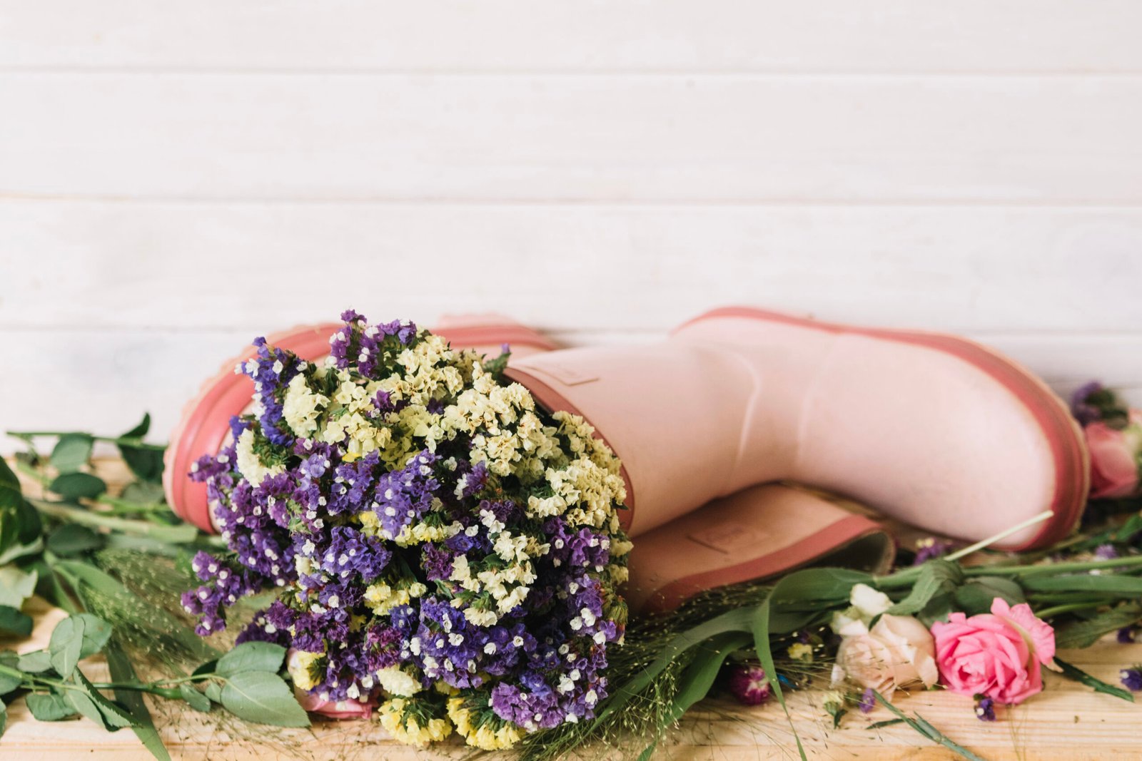 newborn flower