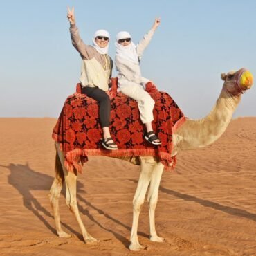 Evening Desert Safari 4 Hour Tour